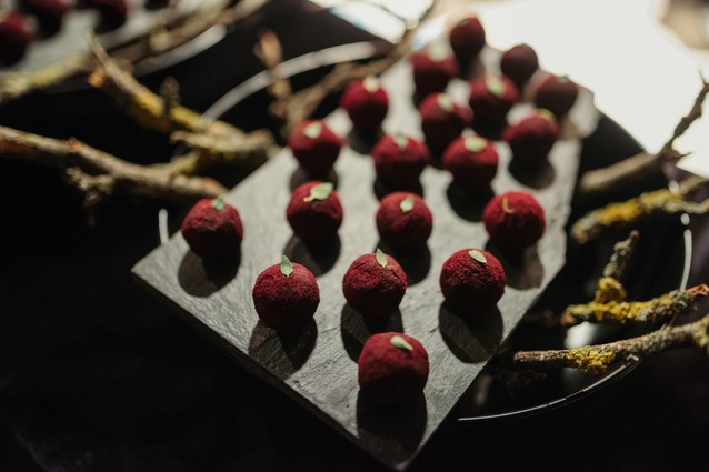 Chèvre (goat's cheese) 'poisoned apples' canapé created by the Otago Polytechnic Food Design Institute students - with Central Otago thyme, walnuts and Manuka honey, and coated in beetroot powder.