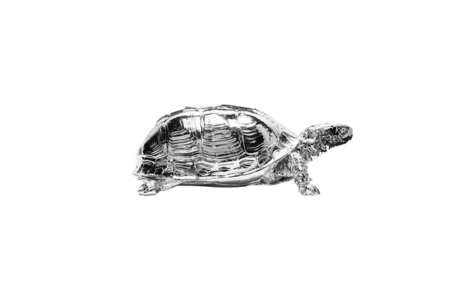 Reality Turtle Box in chrome by Harry Allen for Areaware |
<a
href="http://theobjectroom.co.nz/products/awharbxtc/areaware-reality-turtle-box-chrome" target="_blank"><u> $129 from The Object Room.</u></a>