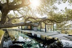 The Tree House