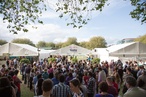 Taste of Auckland 2014